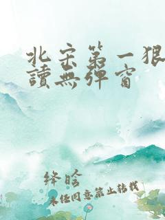 北宋第一狠人阅读无弹窗