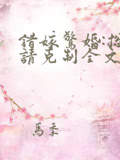 错嫁惊婚:总裁请克制全文阅读