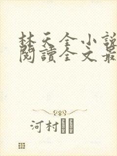 林天全小说免费阅读全文最新章节
