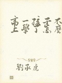 高一孩子不愿意上学了怎么办