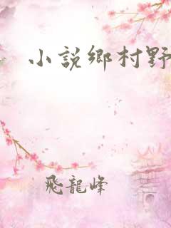 小说乡村野情