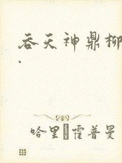 吞天神鼎柳无邪.