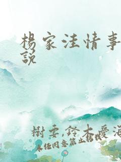 杨家洼情事 小说