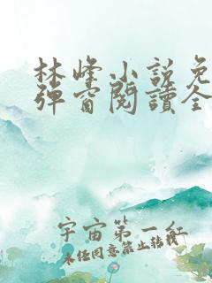 林峰小说免费无弹窗阅读全文