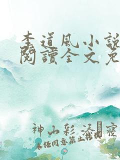 李道风小说在线阅读全文免费无弹窗