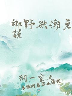 乡野欲潮免费小说