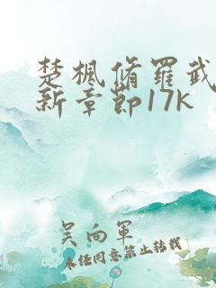 楚枫修罗武神最新章节17k