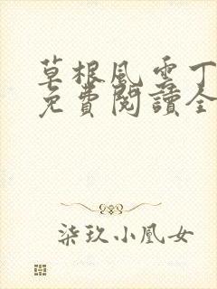 草根风云丁长生免费阅读全本