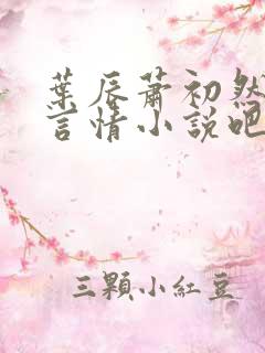 叶辰萧初然小说言情小说吧免费阅读