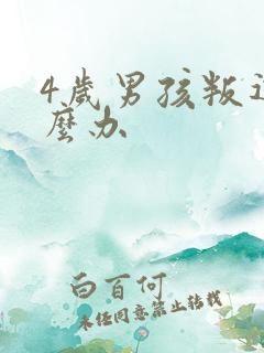 4岁男孩叛逆怎么办