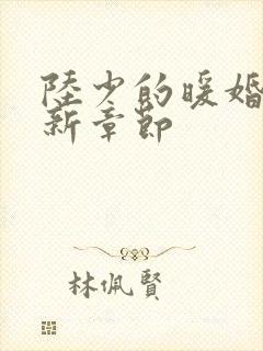 陆少的暖婚新妻新章节