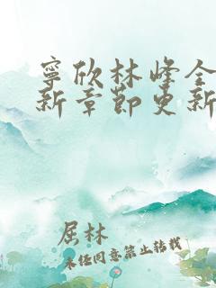 宁欣林峰全文最新章节更新