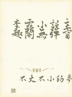 李霖小说主角笔趣阁无弹窗