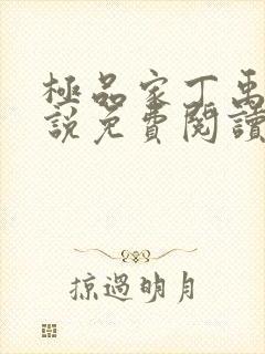 极品家丁禹岩小说免费阅读全文无删减