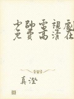 少帅电视剧全集免费高清在线