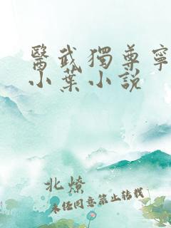 医武独尊宁天江小叶小说