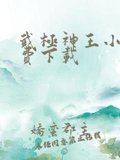 武极神王小说免费下载