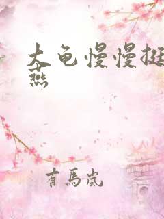 大龟慢慢挺进张燕