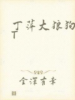 丁萍大狼狗TXT