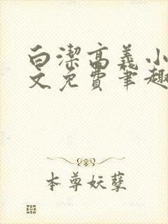 白洁高义小说全文免费笔趣