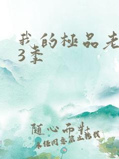 我的极品老婆第3季