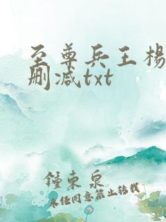 至尊兵王杨浩无删减txt