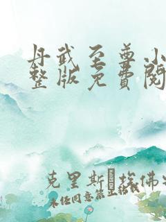 丹武至尊小说完整版免费阅读