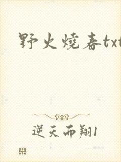 野火烧春txt