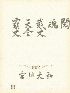 霸天武魂阅读全文全文