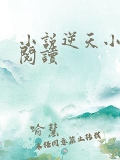 小说逆天小医仙阅读
