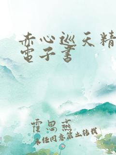 赤心巡天精校版电子书