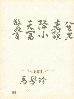 惊天降老公竟是首富小说免费阅读最新
