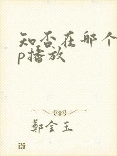 知否在哪个app播放