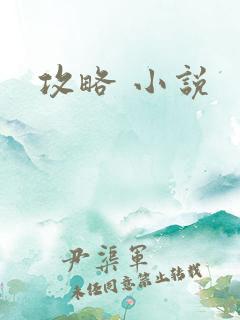 攻略 小说