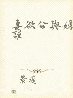 妻欲公与媳的小说
