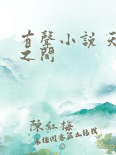 有声小说 天地之间