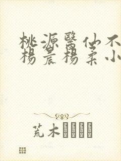 桃源医仙不风流杨晨杨柔小说免费阅读
