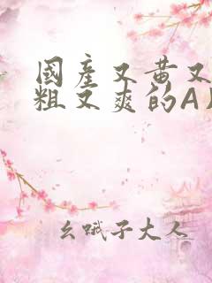 国产又黄又猛又粗又爽的A片小说