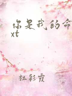 你是我的命运txt