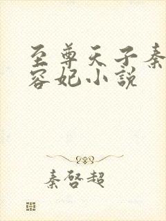 至尊天子秦昊苏容妃小说