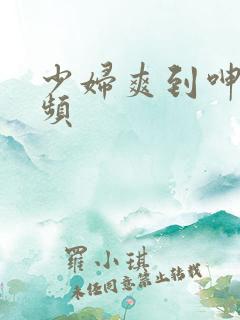 少妇爽到呻吟视频