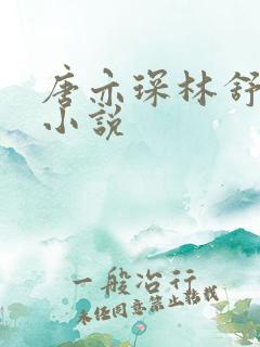 唐亦琛林舒温晴小说