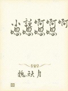 小说啊啊啊嗯嗯嗯嗯嗯嗯