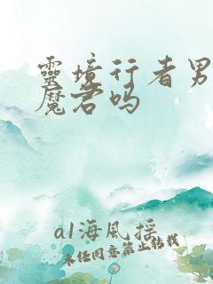 灵境行者男主是魔君吗