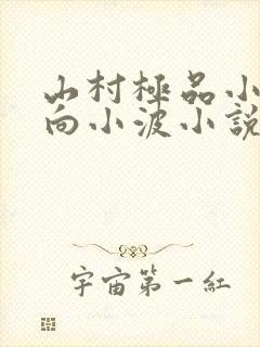 山村极品小神医向小波小说阅读