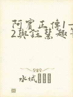阿宾正传1—72与钰慧趣笔阁
