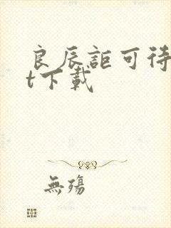 良辰讵可待txt下载