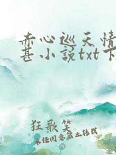 赤心巡天情何以甚小说txt下载完整版