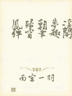 凤归朝梦溪石无弹窗笔趣阁