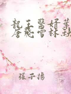 龙王医婿叶不凡唐飞雪林秋玲小说